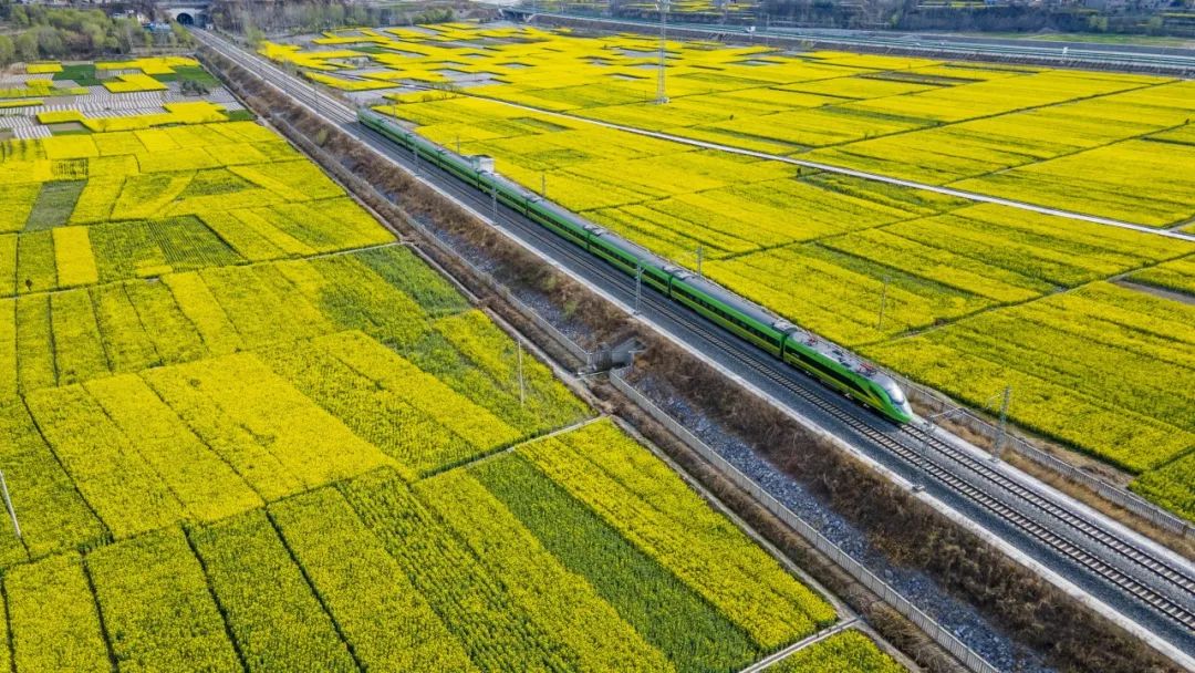 乘务员小姐姐@你:不负春光,"油"你"菜"美!