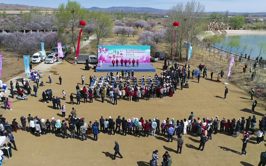 【2024春游河北】万全区第六届"杏花节"喊你来赏花!