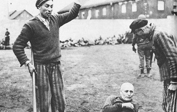 被虐待的犹太人社会这部正在运行的庞大机器,"它的每一个零件都高效地