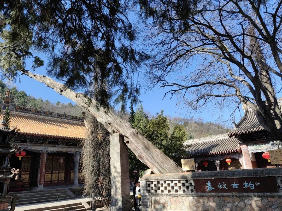 天水南郭寺门票图片