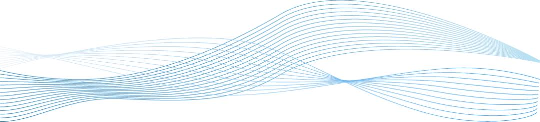 荆楚雷霆2024武汉行动巧用网络询价为执行提速增效