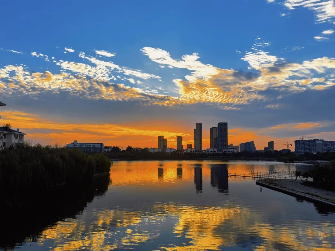 高唐县"天平杯·美丽高唐"摄影大赛参赛作品展(一)_澎湃号·政务_澎湃