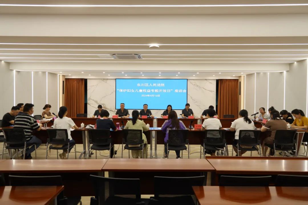 随着东川法院党组成员,副院长钟琴及审判委员会专职委员雷翔的讲解和