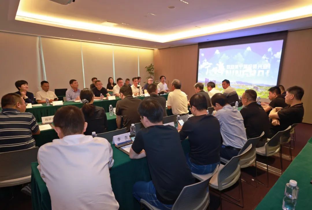 【之江同心·贤助乡兴】粤港澳大湾区在外宁海人发展恳谈会举行_澎湃