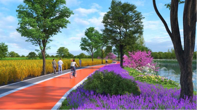近百公里!余杭今年新建,改建一批绿道!效果图抢先看→_澎湃号·政务_