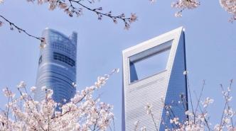“上海樱花指数”首次发布：近百处赏樱地哪个是市民的“最爱”