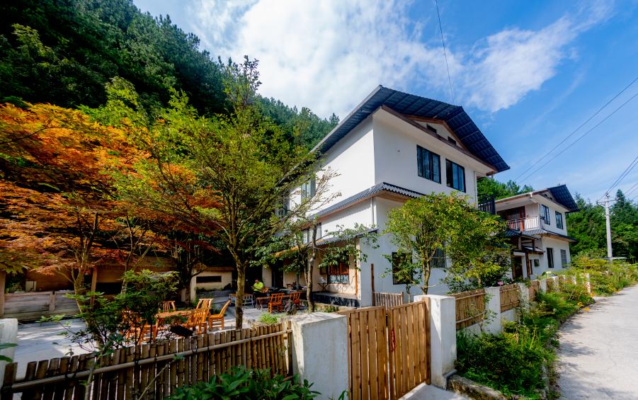湖北利川充分发挥妇联组织优势,广泛开展民宿经营培训 巾帼民宿铺就"