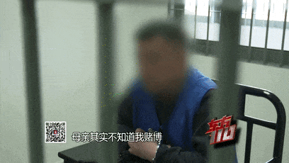 她被抓后儿子却跑了…_澎湃号·政务_澎湃新闻-the paper