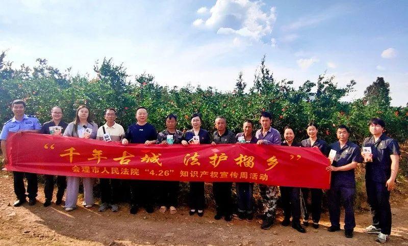 会理市法院:"6 1"做优知识产权司法保护 赋能"会理石榴"金字招牌_澎湃