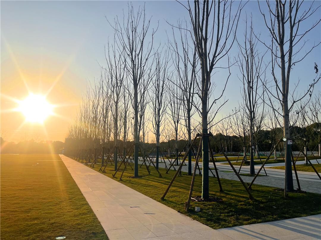 大虹桥的“曼哈顿中央公园”逐步成型| 华建集团环境院虹桥前湾公园项目一期建设大步推进