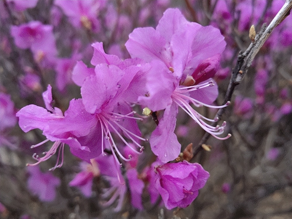 延边的这些打卡地不容错过!