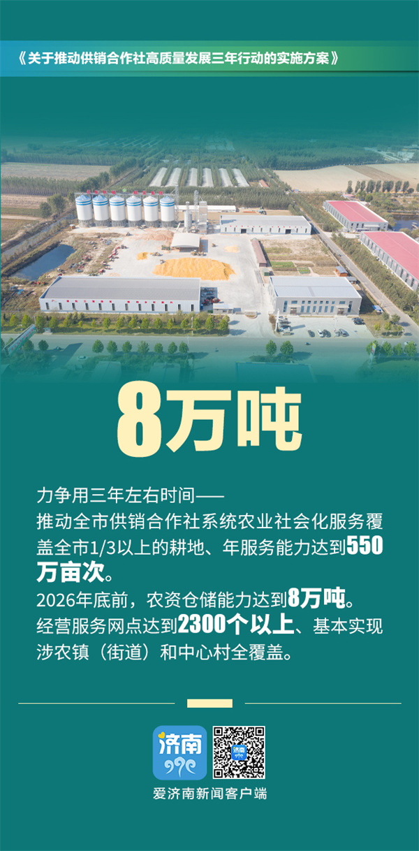 海报合集"数"读济南供销社高质量发展三年行动实施方案