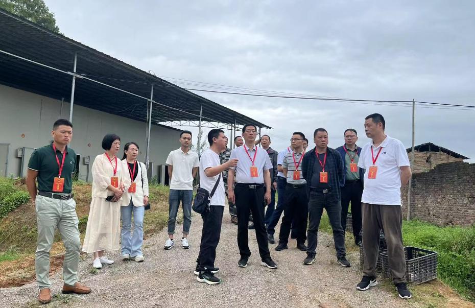 古田县人大常委会开展粮食安全工作情况专题调研