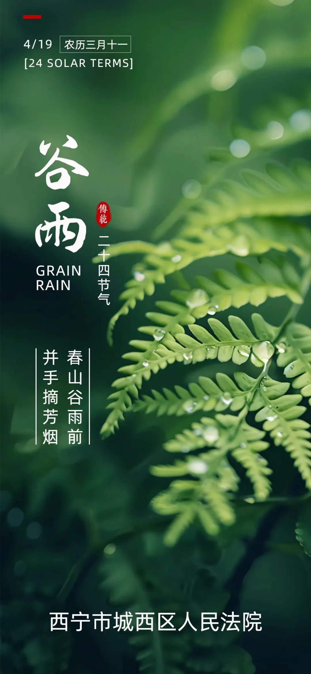 今日谷雨_澎湃号·政务_澎湃新闻-The Paper