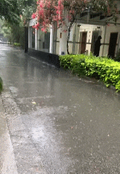 242_349竖版 竖屏gif 动态图 动图