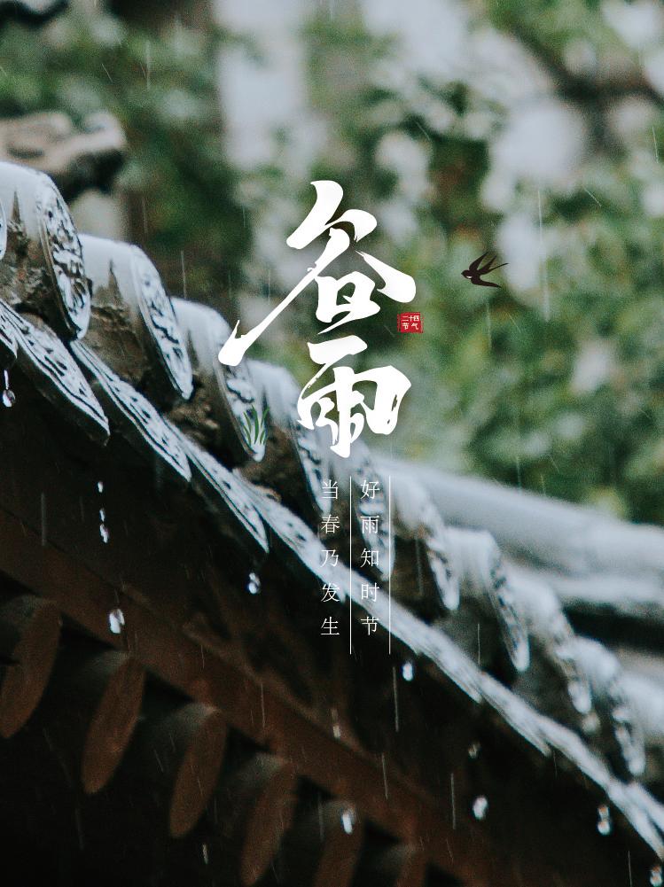 【二十四节气】今日谷雨 | 来洛邑古城感受春夏之交的热烈！_澎湃号·政务_澎湃新闻-The Paper
