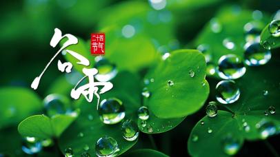 雨生百谷，万物逢时！今日谷雨_澎湃号·政务_澎湃新闻-The Paper