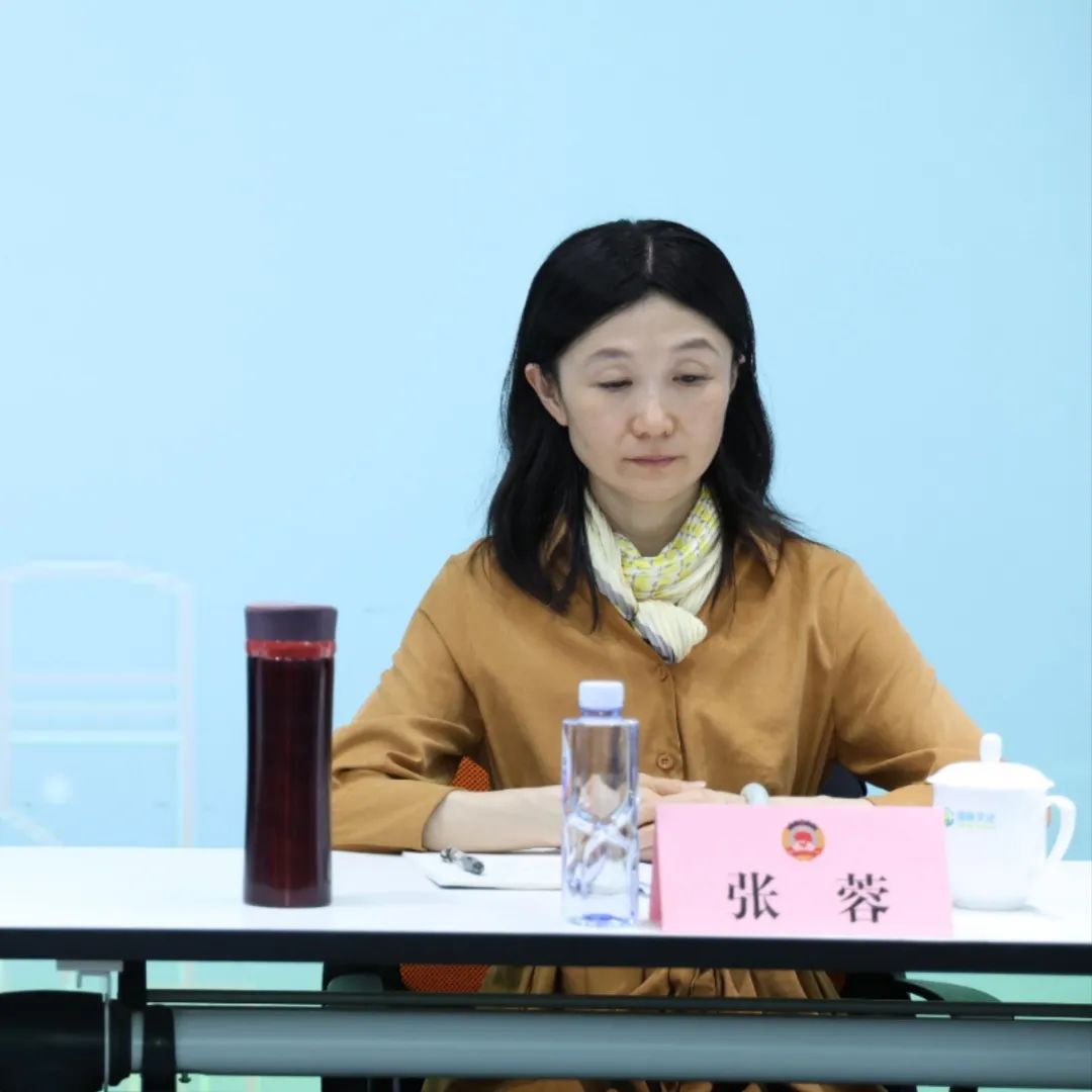 区司法局副局长张蓉建议:将文化内核在精神层面上更上一台阶,在品历史