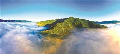 当好生态卫士 永葆秦岭宁静和谐美丽