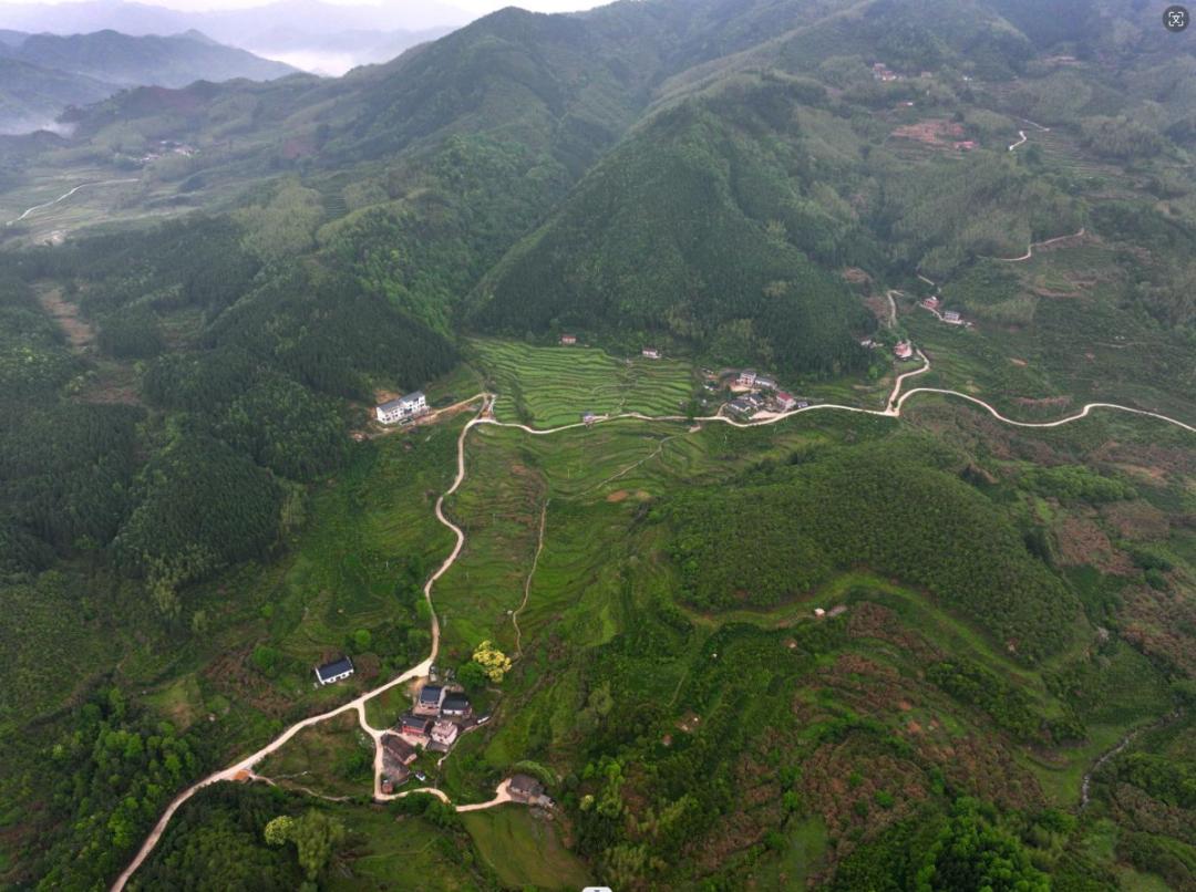 遗产里的景德镇,艺术乡建在长明