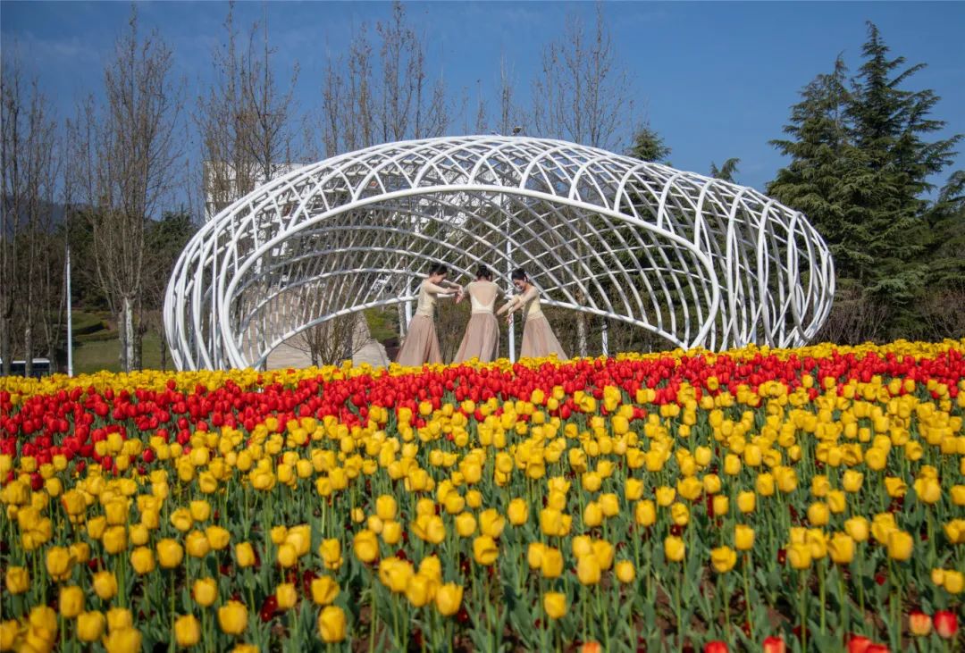 "五一"出游目的地,烟台上热榜了!