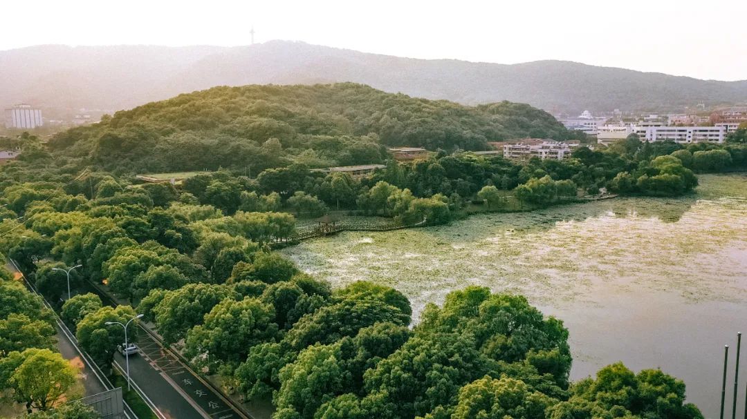 桃子湖改造图片