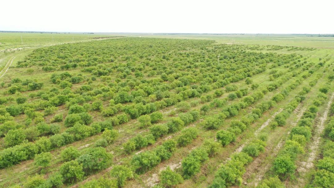 【加快落实"五大任务" 推动高质量发展】春醒万物苏