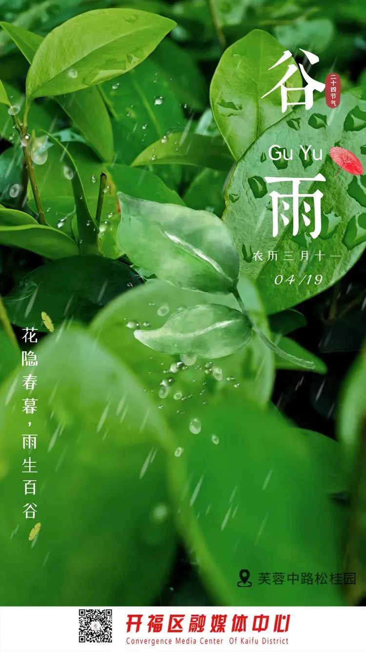 今日谷雨_澎湃号·政务_澎湃新闻-The Paper