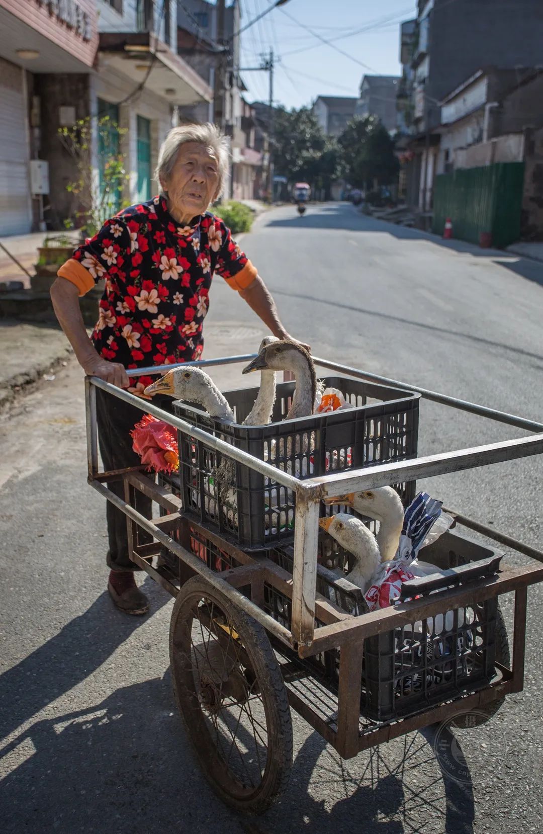 中国摄影网签约摄影师姚红星:故土亲人