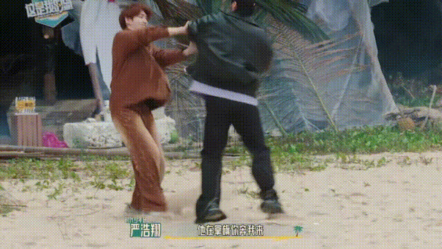 内娱无代餐的"岛综",靠什么撑起收视率?