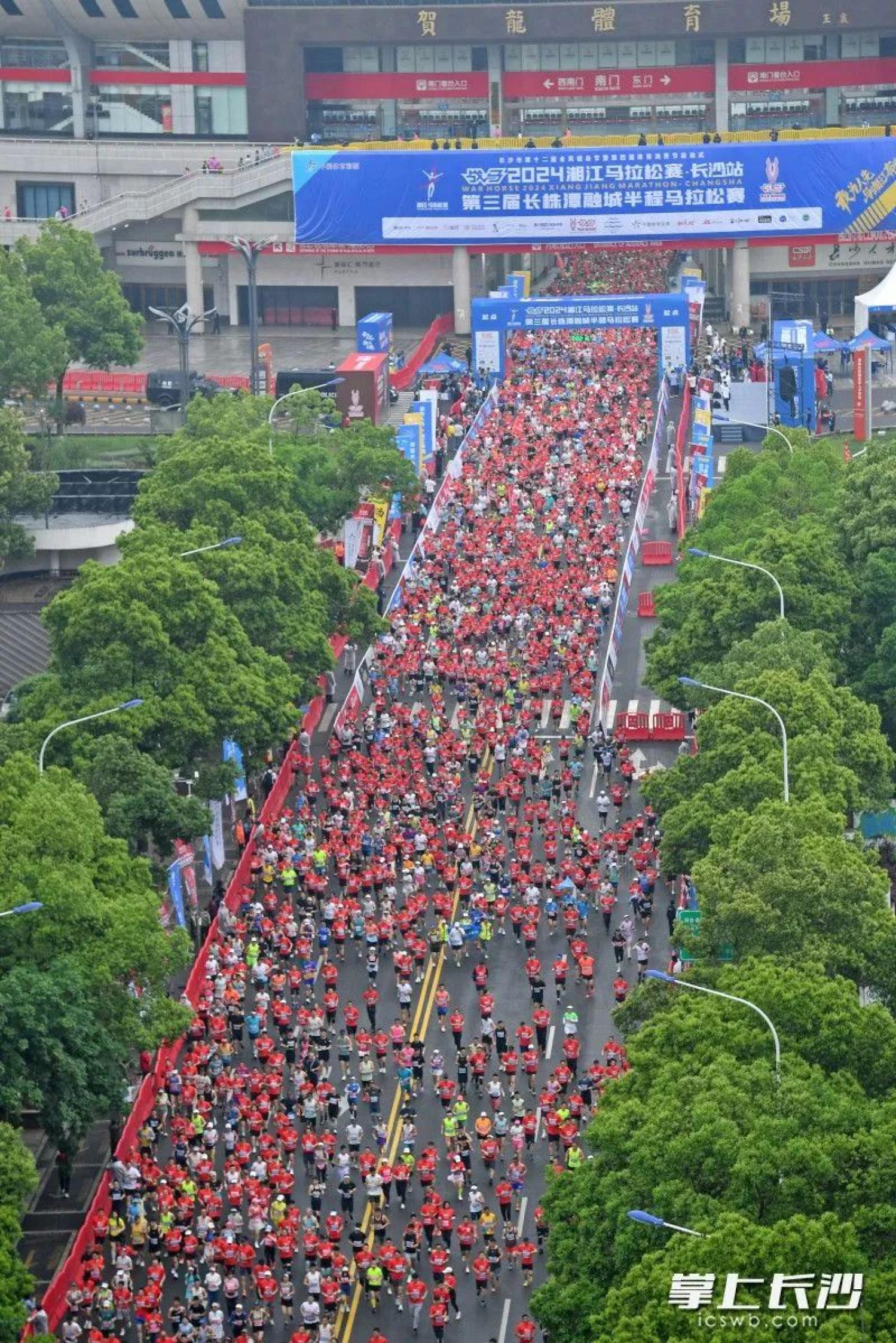 组图丨战马2024湘江马拉松赛·长沙站(第三届长株潭融城半程马拉松赛)
