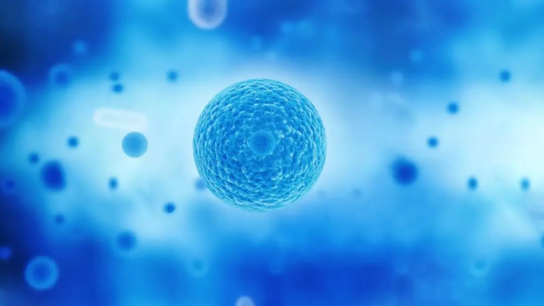 乳酸菌"抗癌"再添实锤