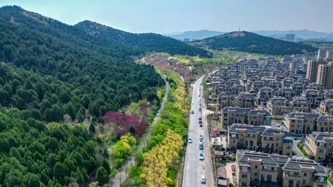 全免费!这5个济南东部公园,20分钟让你回血