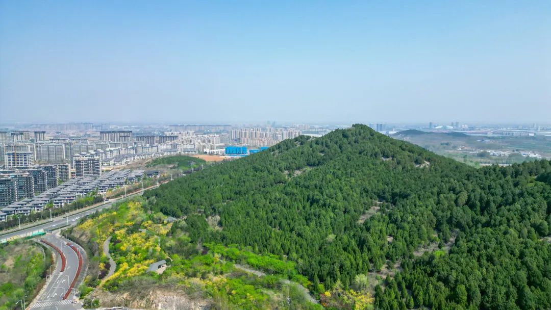 全免费!这5个济南东部公园,20分钟让你回血