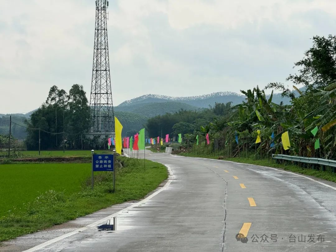 弘扬"丁龙精神"!白沙镇"进隆路"揭牌