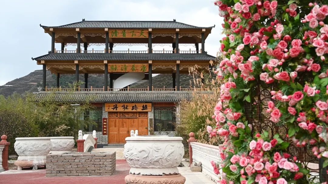 漳县贵清山植物园200万株郁金香盛放,速来打卡!