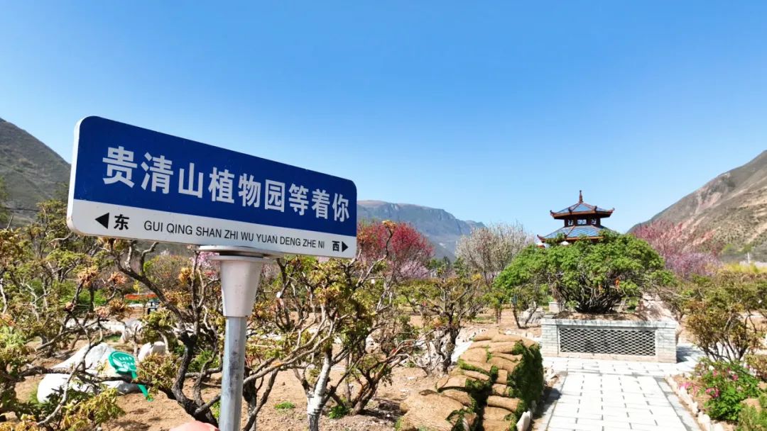 贵清山植物园图片