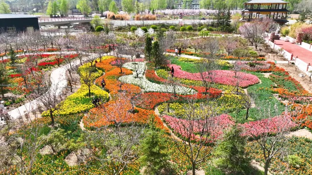 贵清山植物园图片