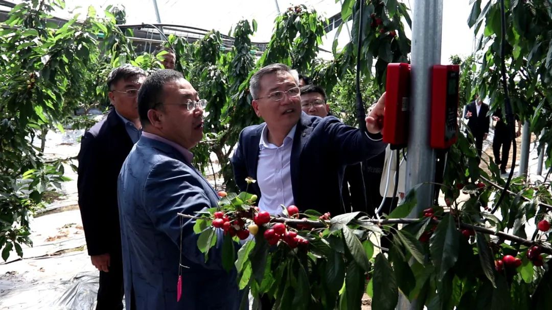 张龙江强调,数字农业是峡山区农业转型升级的重要抓手,要加快推动农业