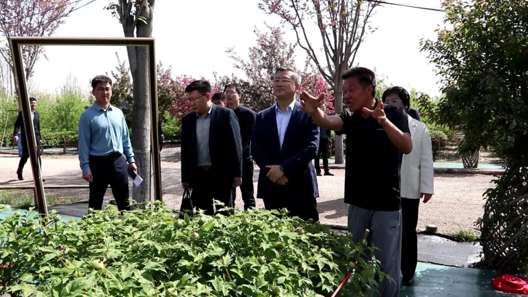 张龙江调研全区重点项目建设推进情况