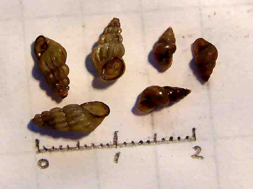 黄岩疾控提醒!接触10秒即感染