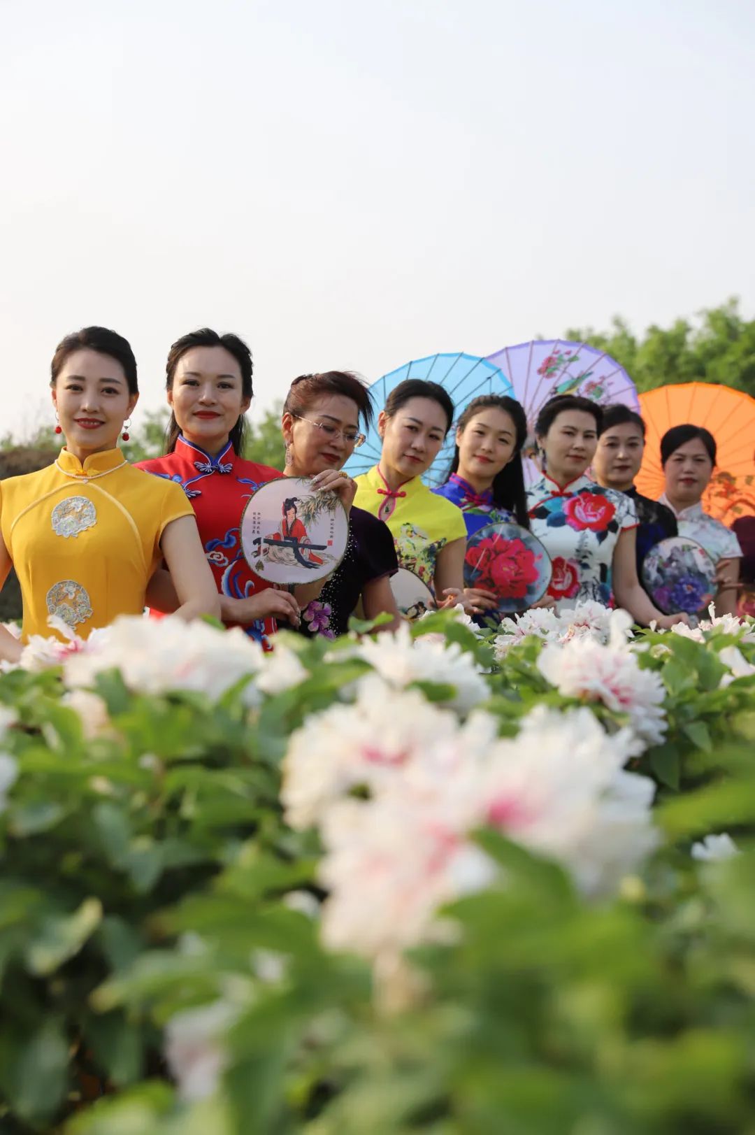 演绎着旗袍文化的浪漫风情脚下芳香四溢或婀娜,或曼妙她们或灵动,或