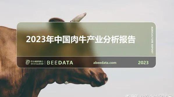 2023年中国肉牛产业分析简报