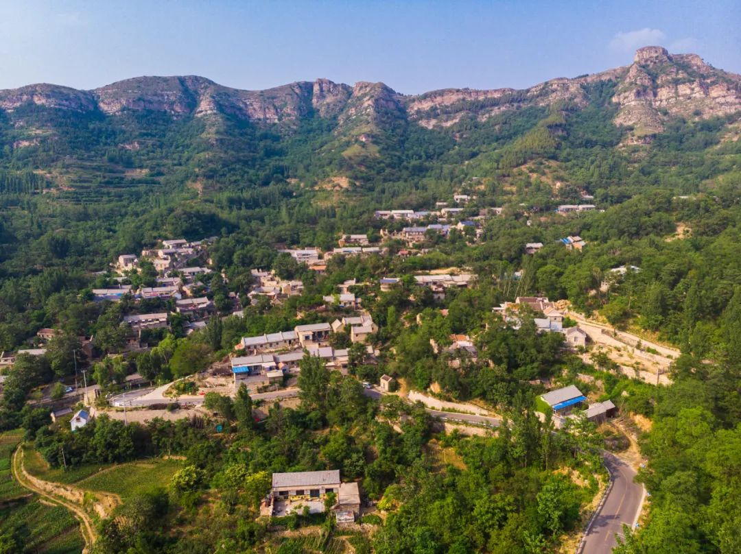 摄影:王啸▲下法山村古槐树 || 摄影:王啸地址|济南市莱芜区茶业口镇