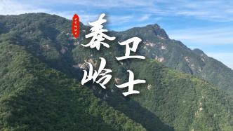 秦嶺衛(wèi)士丨電信科技助力守護“國家綠肺”