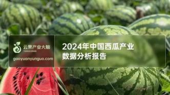 2024年中国西瓜产业数据分析简报