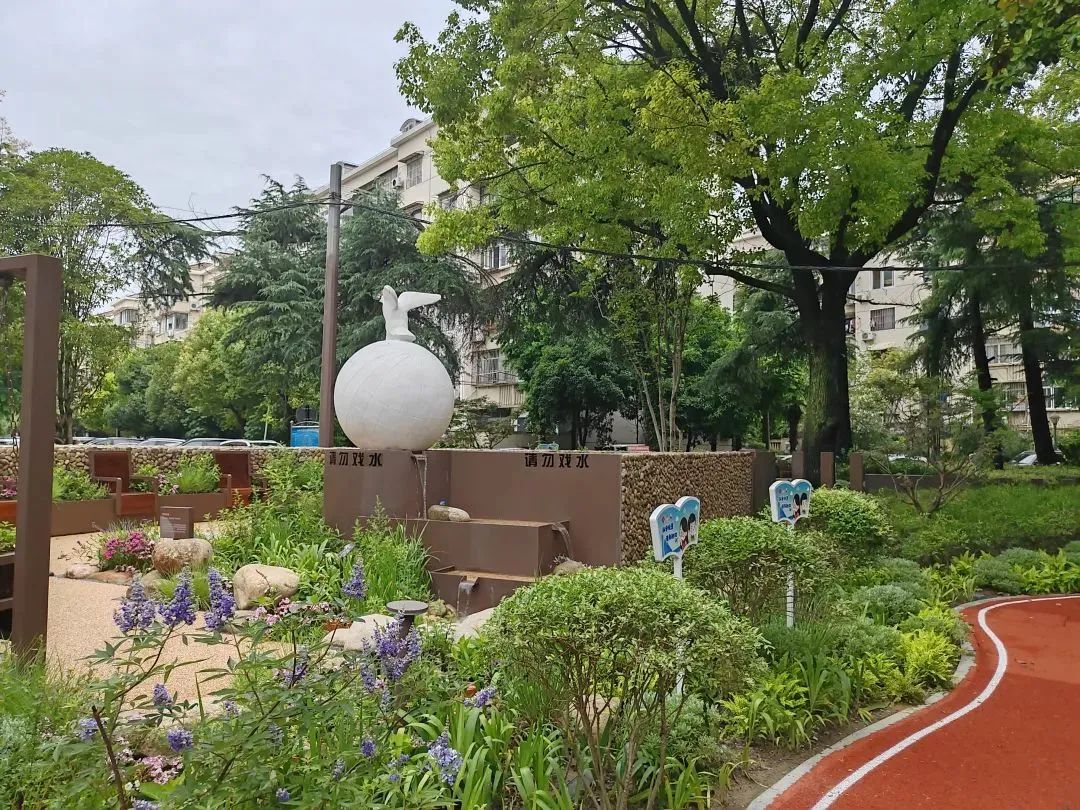 这里越来越多的"野趣"认识吗?程家桥街道邀你来做"自然导赏员"