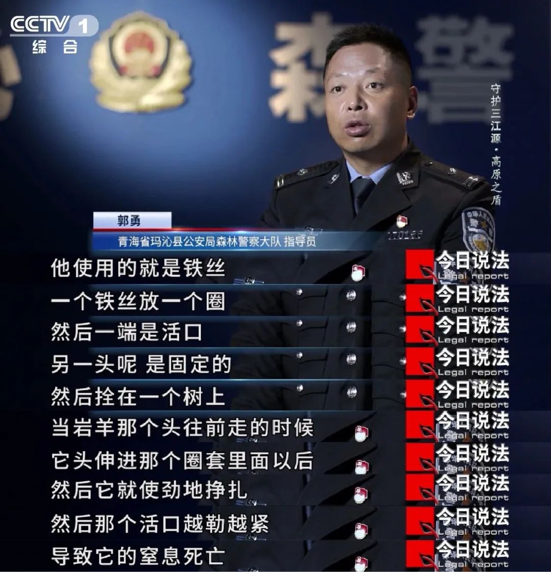 守护三江源|森林公安打击非法捕捞,非法猎捕,非法盗伐等犯罪活动,撑起