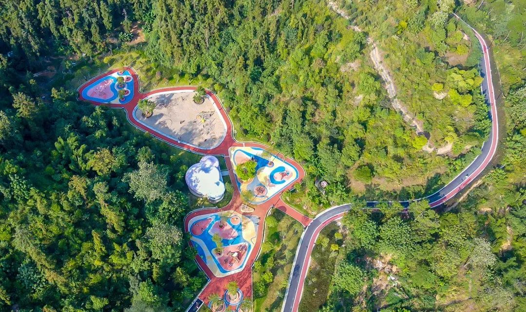 独属于韶关人的"公园20分钟效应",快跟着ta们一起打卡