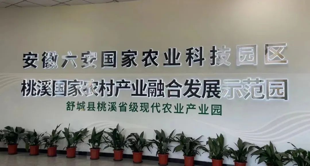 媒体看六安丨乡村振兴绘就新图景